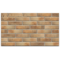 Фасадная Retro Brick Masala